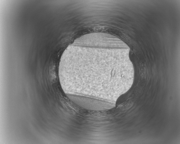 X0000064750962200603031729