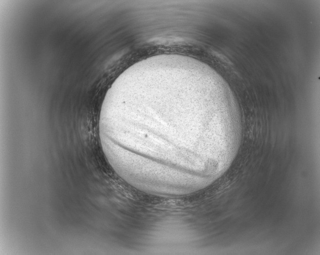 X0000064750966200603031729