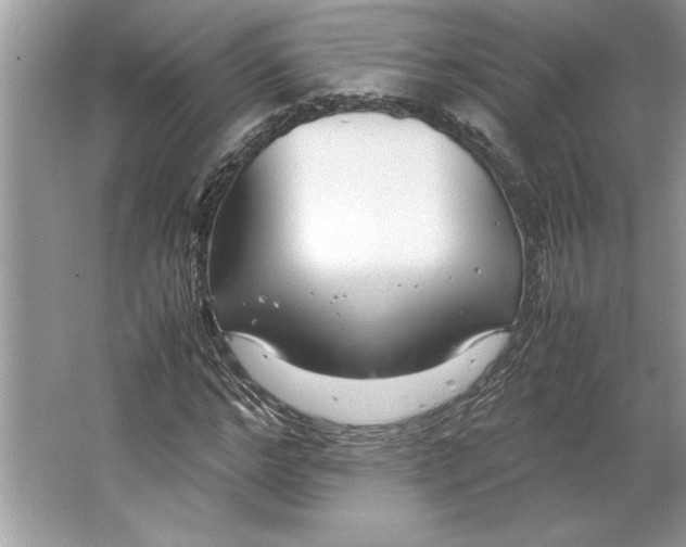 X0000064750968200603031729