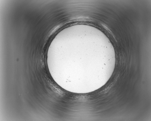 X0000064750970200603031729