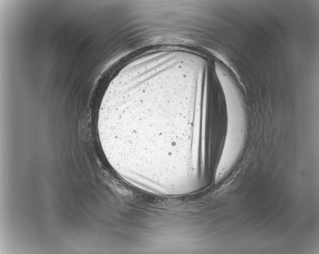 X0000064750971200603031729