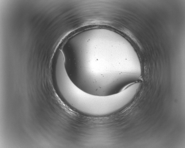 X0000064750972200603031729