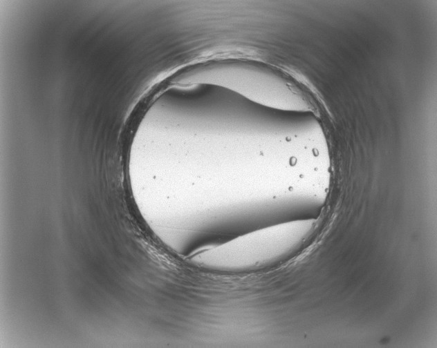 X0000064750973200603031729