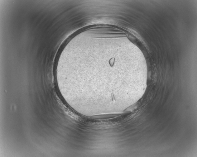 X0000064750980200603031729