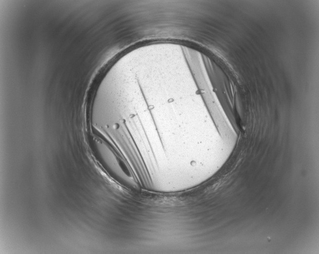 X0000064750982200603031729