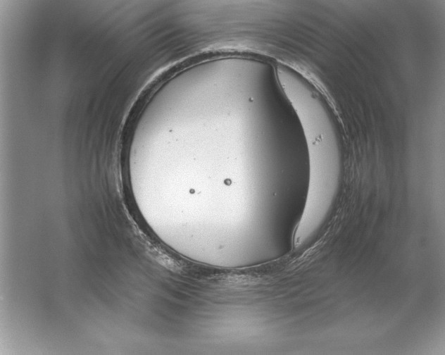 X0000064750984200603031729