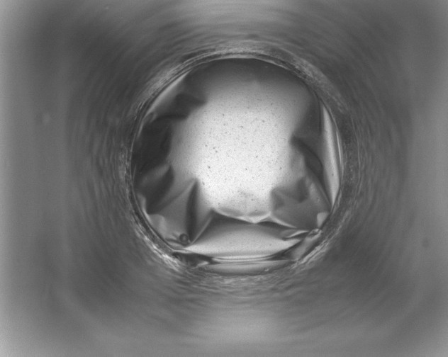 X0000064750985200603031729