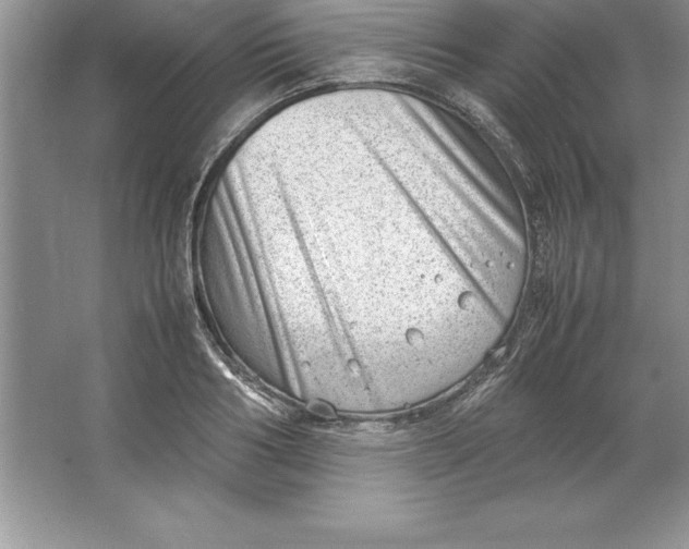 X0000064750986200603031729