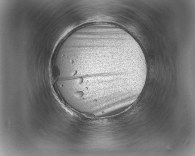 X0000064750990200603031729