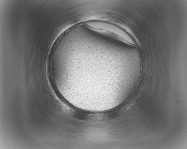 X0000064750991200603031729