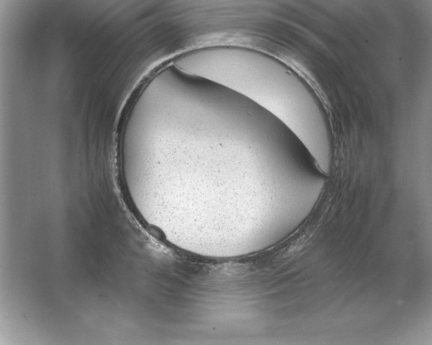 X0000064750992200603031729