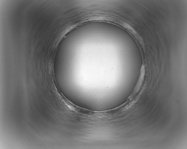 X0000064750993200603031729