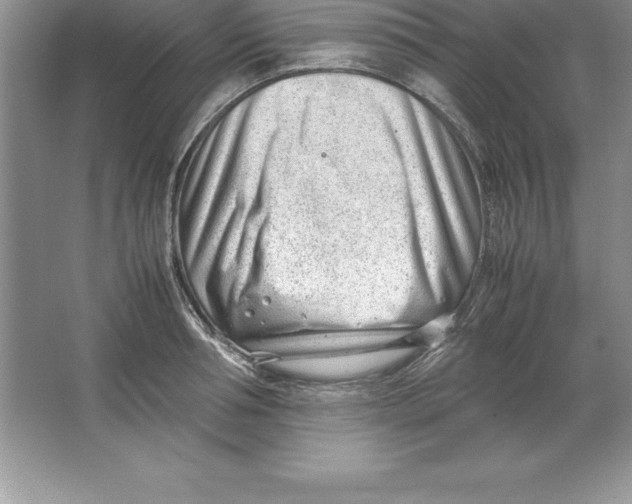 X0000064750994200603031729