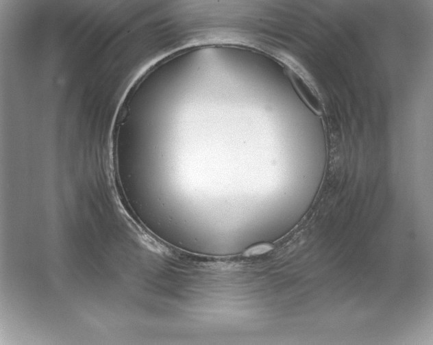 X0000064750996200603031729