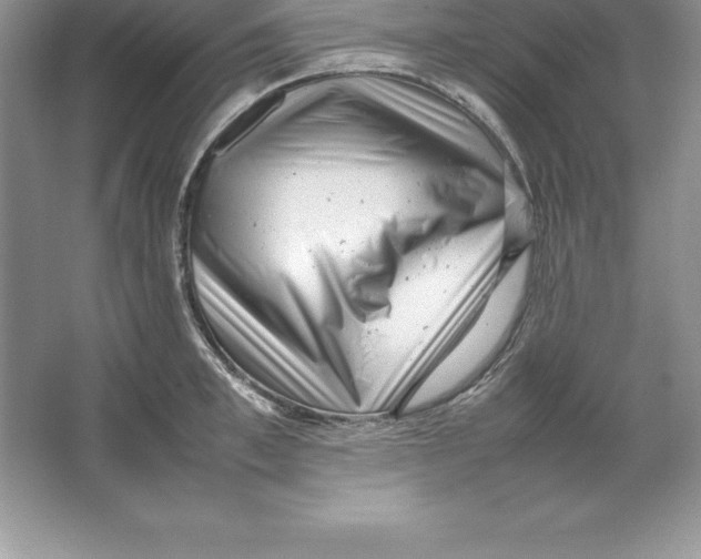 X0000064750997200603031729