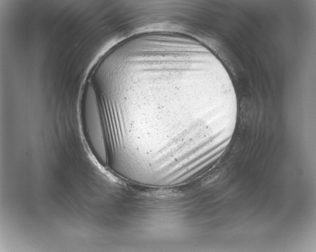 X0000064750998200603031729