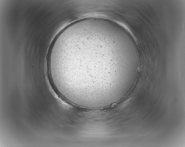 X0000064750999200603031729