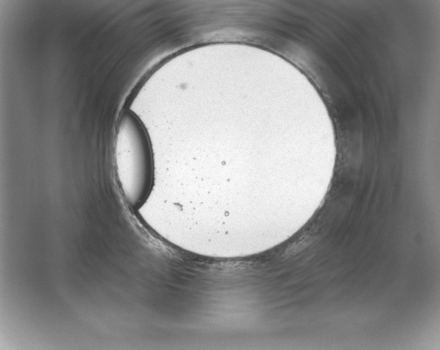 X0000064751000200603031729