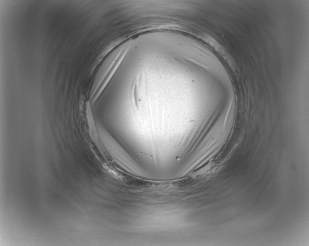 X0000064751001200603031729