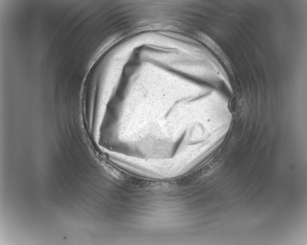 X0000064751002200603031729