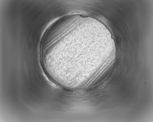 X0000064751003200603031728