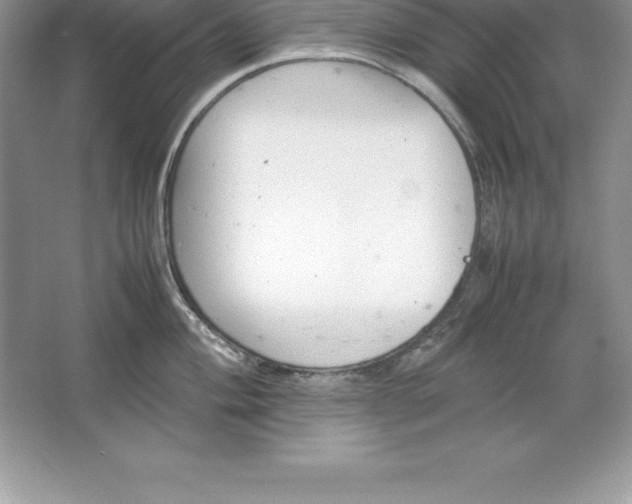 X0000064751004200603031728