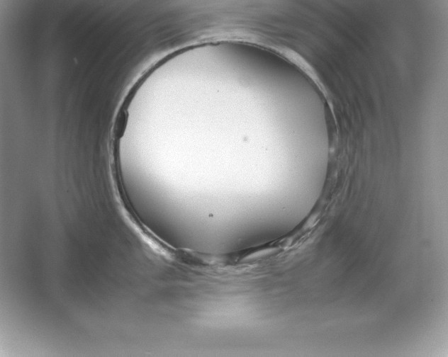 X0000064751005200603031728