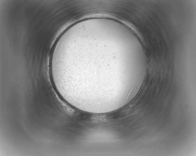 X0000064751006200603031728