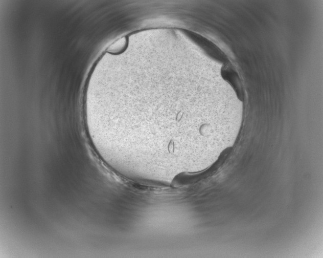 X0000064751008200603031728