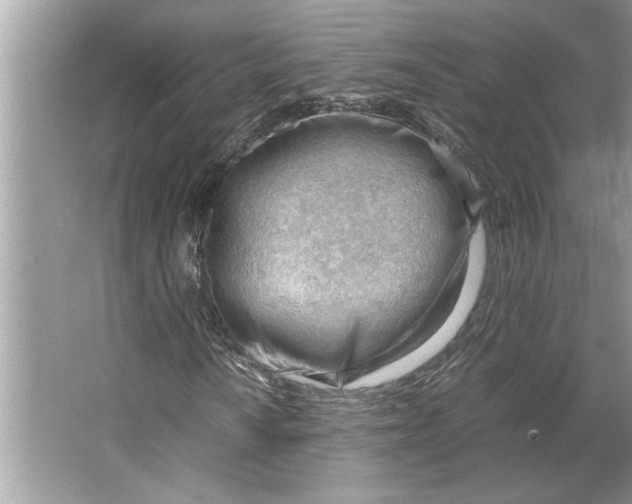 X0000064751010200603031728