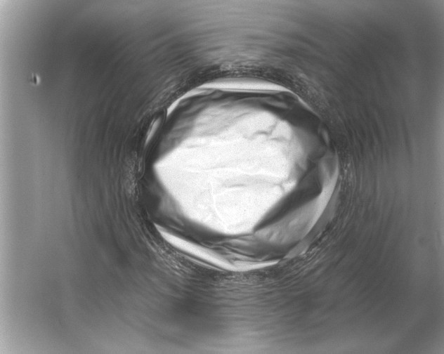 X0000064751012200603031728