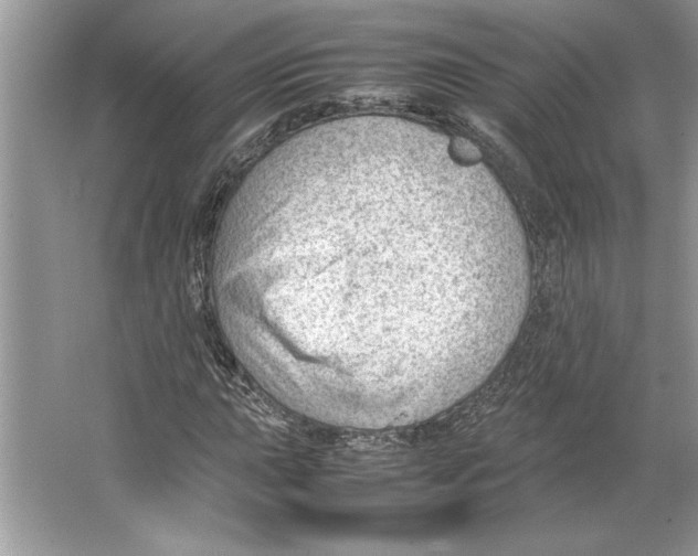 X0000064751015200603031728