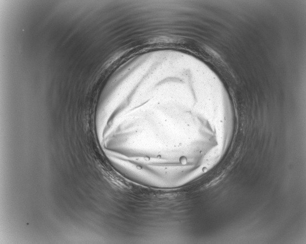 X0000064751017200603031728