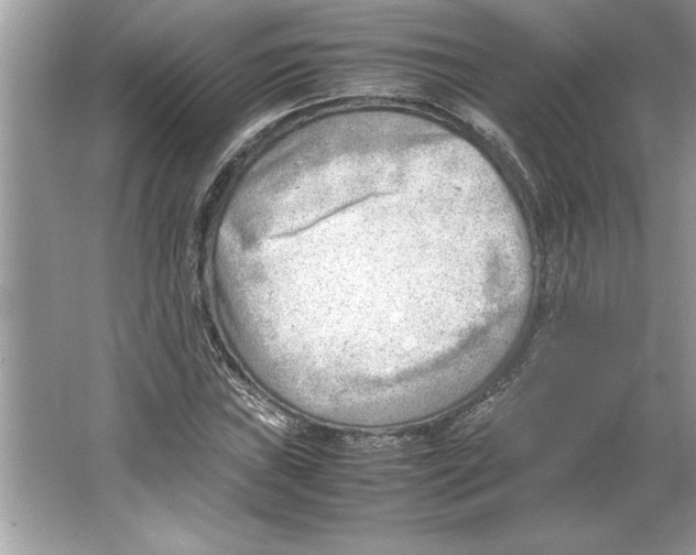 X0000064751019200603031728