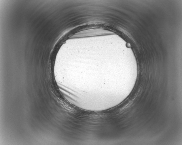 X0000064751021200603031728