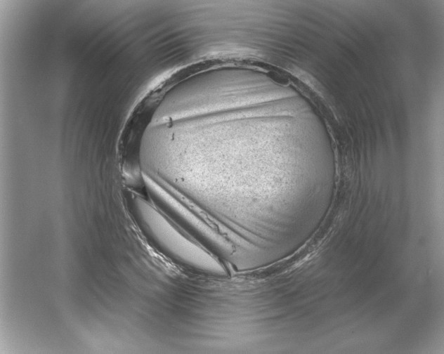 X0000064751022200603031728