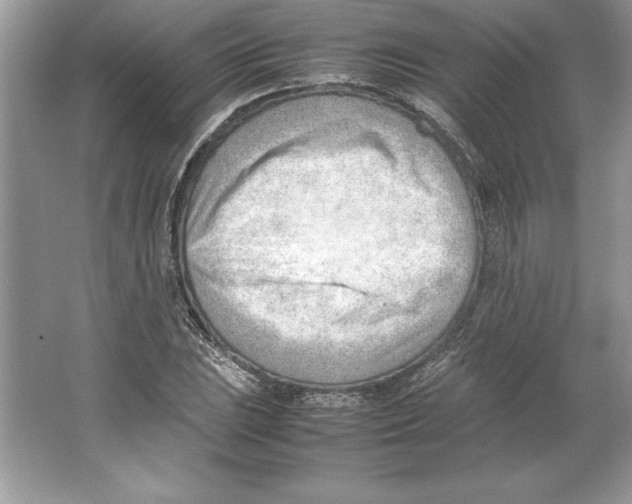 X0000064751023200603031728