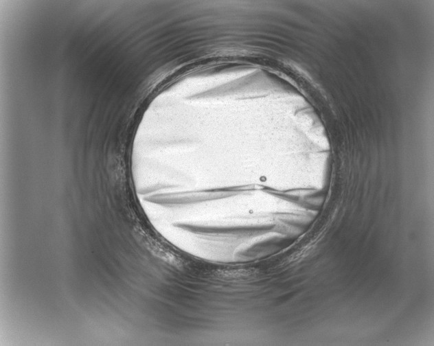 X0000064751025200603031728