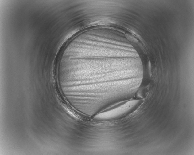 X0000064751026200603031728