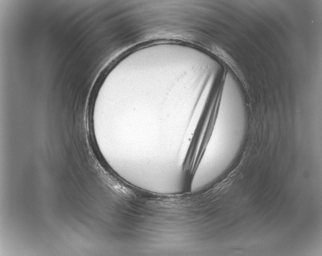 X0000064751028200603031728