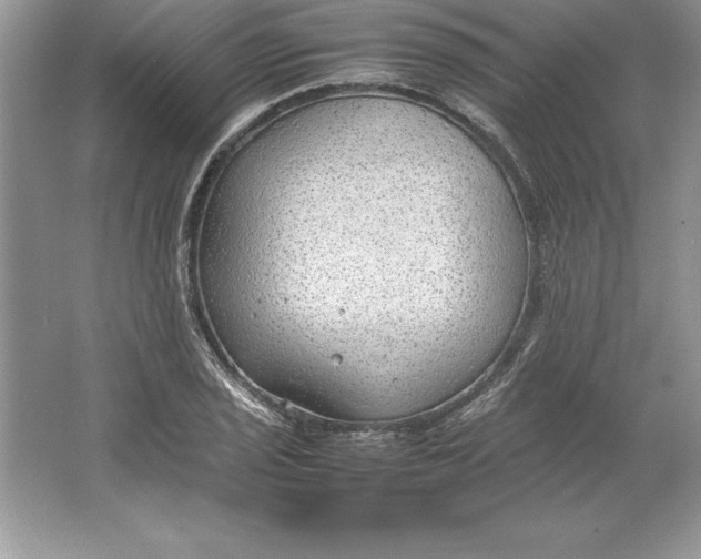 X0000064751029200603031728