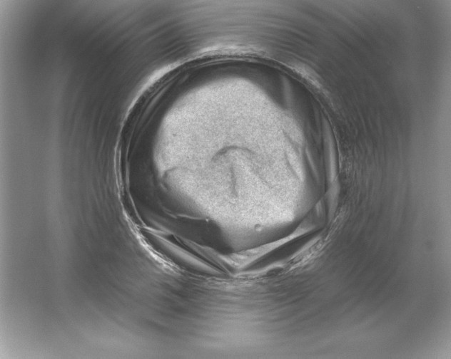 X0000064751030200603031728