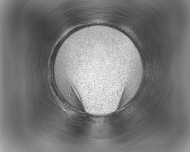 X0000064751031200603031728