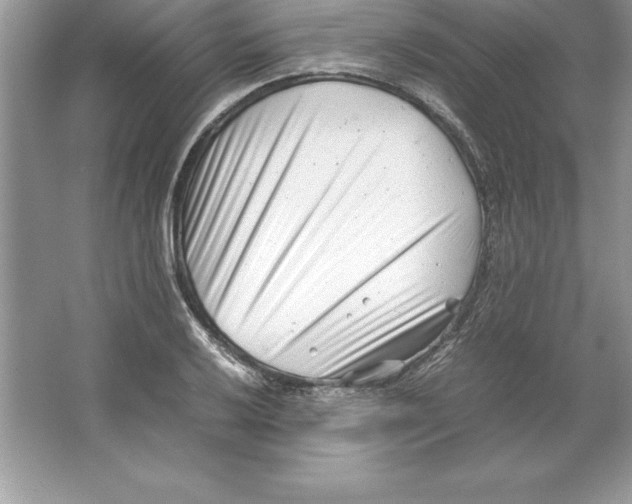 X0000064751032200603031728