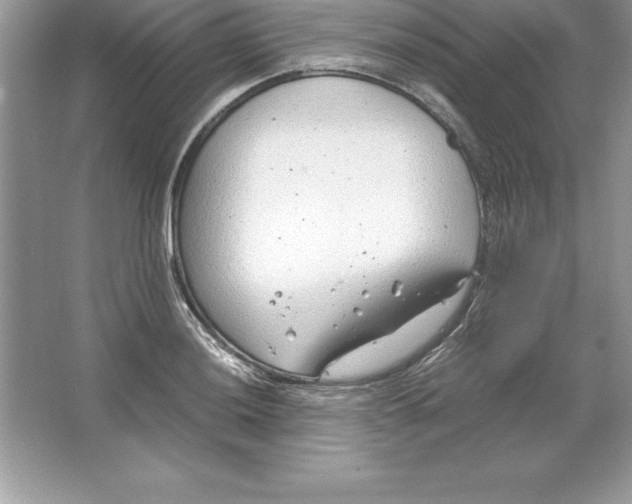 X0000064751036200603031728