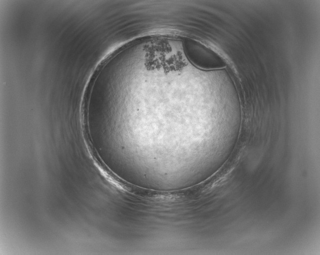 X0000064751037200603031728