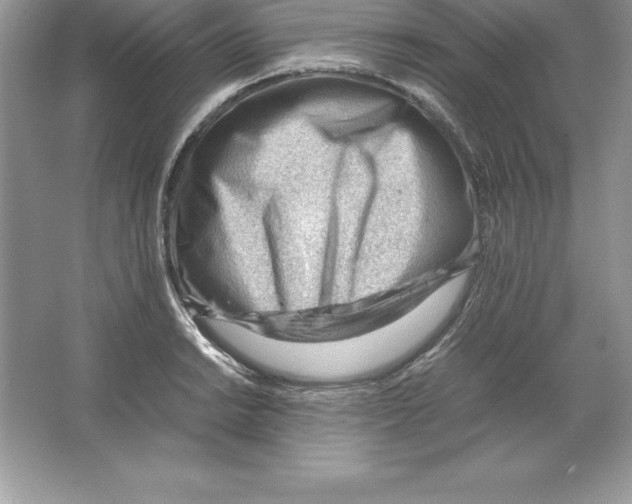 X0000064751038200603031728