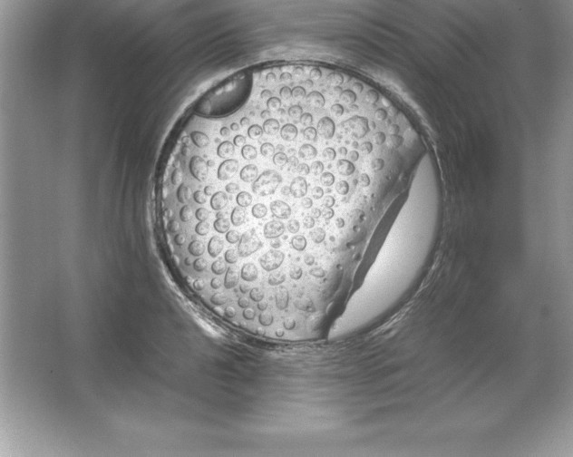 X0000064751040200603031728