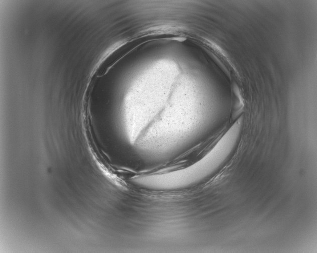 X0000064751042200603031728