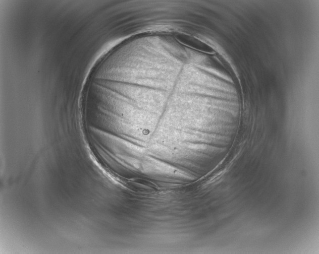 X0000064751045200603031728